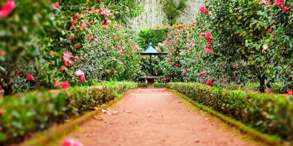 Βοτανικός Κήπος